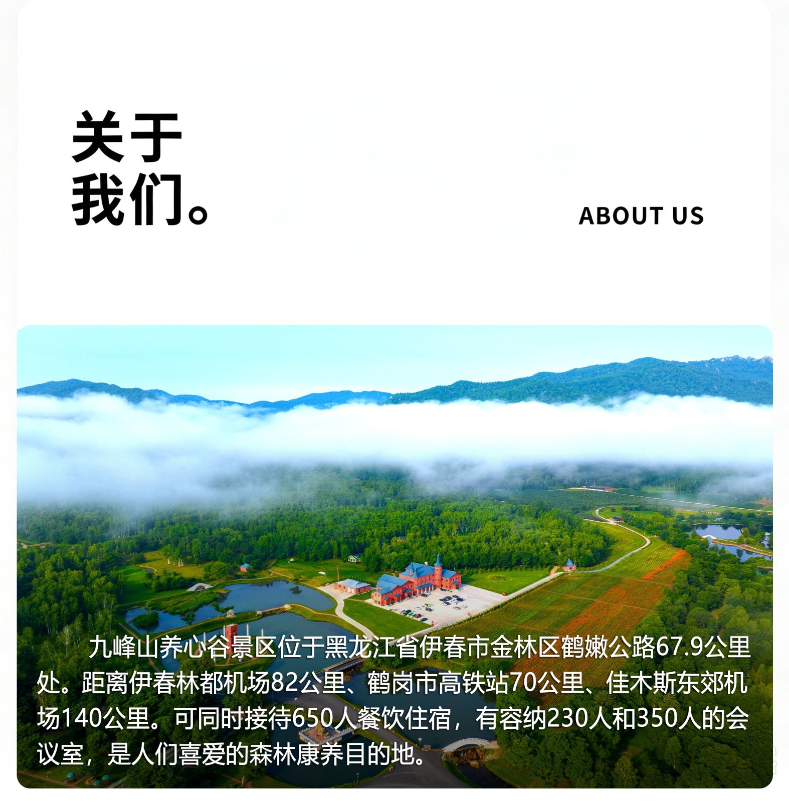 网站(1).jpg